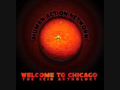 Human Action Network - Sunflower Acid
