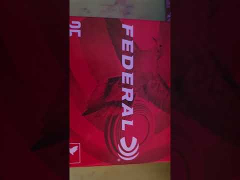 Federal Game Shok 22LR -- 31 grain and 38 grain -- Tested