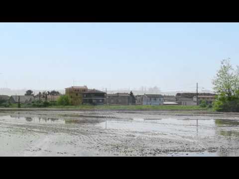 TRENI FRA LE RISAIE DI VIGNALE, NOVARA (Parte 1/2)