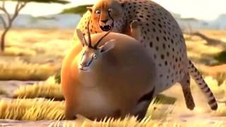 2 minutes funny fat animal video