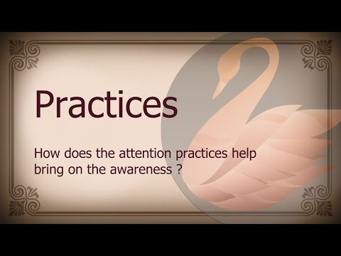 Attention Practices
