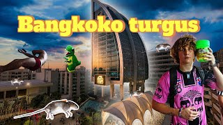 BANDĖM STIPRIAI DERĖTIS BANGKOKO TURGUJE.. MUS IŠVARĖ? | PIRMA DIENA TAILANDO UNIVERSITETE | 🇹🇭