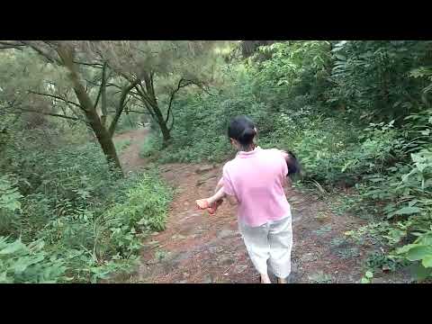 02 05 2021-05 18 pm #leonui #conson #chilinh #haiduong #nuiconson #consonkiepbac #34