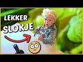 LUXY NU AL AAN DE WiJN? ? | Bellinga Vlog #1499