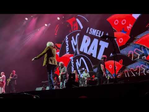 Boomtown Rats - Dublin - Hotpress 50th - 2026-02-06 - Rat Trap