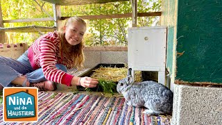 Kaninchen | Information für Kinder | Nina und die Haustiere