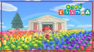 【あつまれどうぶつの森】最近の悩みを聞いてくれない？てか今日バレンタインじゃん🍫【あつ森】