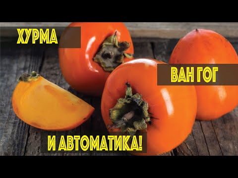 Date. Distillation. Contronius. Van Gogh.