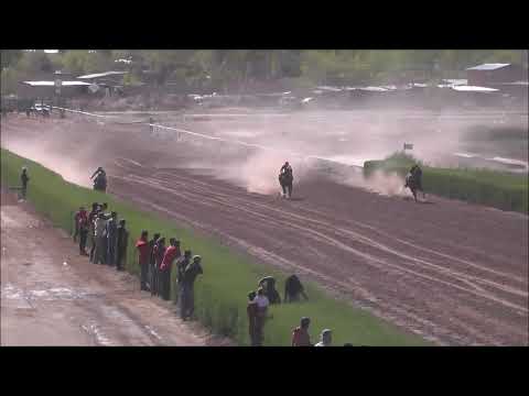 15º Decima Quinta Carrera Domingo 08 de Octubre 2023