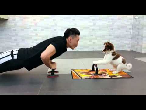 Fitness exercise with your dog - Eric Ko & Teeny thumnail