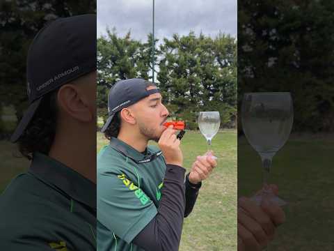 Le sifflet le plus puissant du monde peut il briser un verre ?