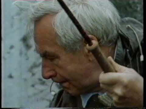 The Angling Experience - Irish Spring Salmon