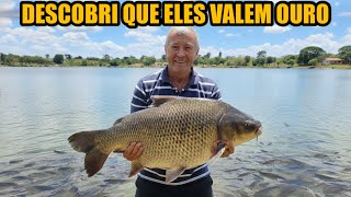 UM SÍTIO REPLETO DE ANIMAIS EXÓTICOS E PEIXES GIGANTESCOS