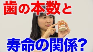 噛んでいる歯の本数と体の関係