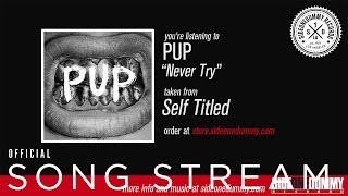 PUP - Never Try