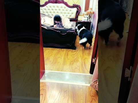 Husband  Money💰 Was Placed In Bed Room But There Was Wife #shorts