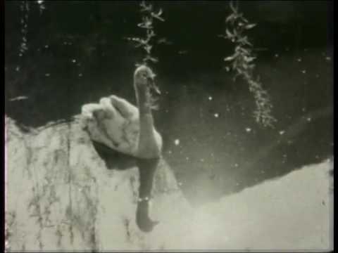 VTS 01 1 Film Fritz Schallenberg Rhede