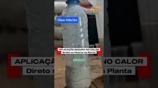 Moacir Filho PA