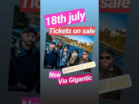 Jaya the Cat - 18th July