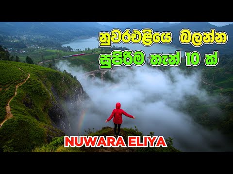 Travel Places in Nuwara Eliya | නුවරඑළියෙ බලන්න සුපිරිම තැන් 10 ක් |Top 10 Must Visit  Nuwara Eliya