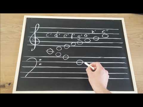 Violin- und Bassschlüssel