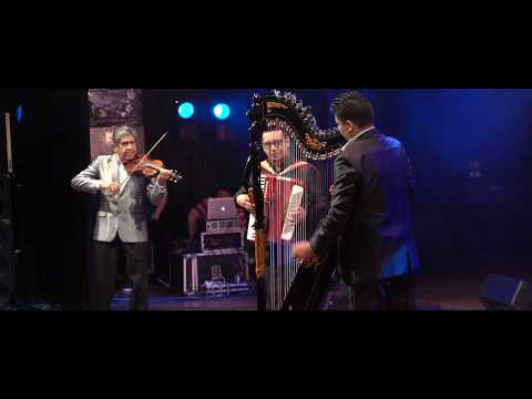 1 Pájaro Campana - Fantásticos!