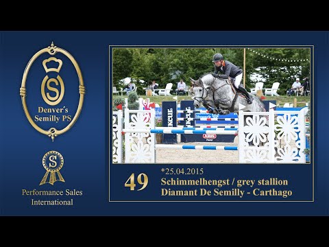 Kat. Nr. 49 Denver's Semilly PS