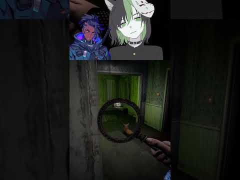 Zwilinge und Geister?! | #kamui_sanka #Twitch #horror #halloween #ProjectUnknown #gervtuber