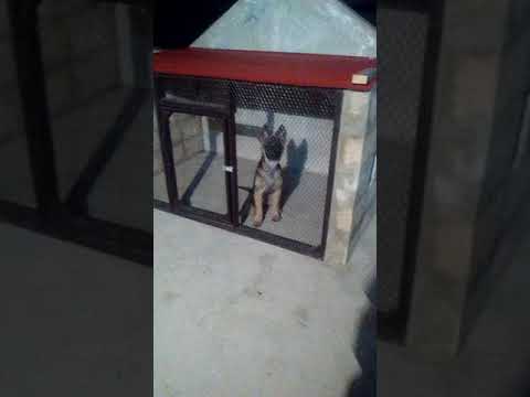 Excited in her new home