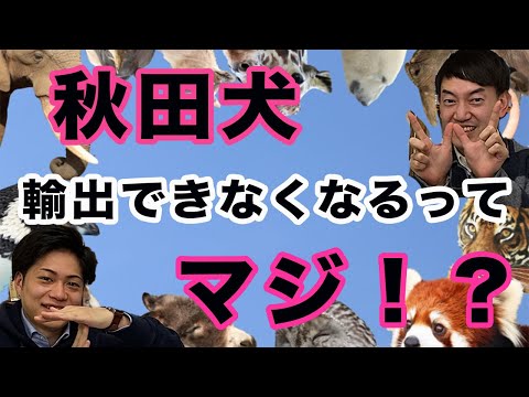 絶滅危惧種の国際取引に関するワシントン条約50周年