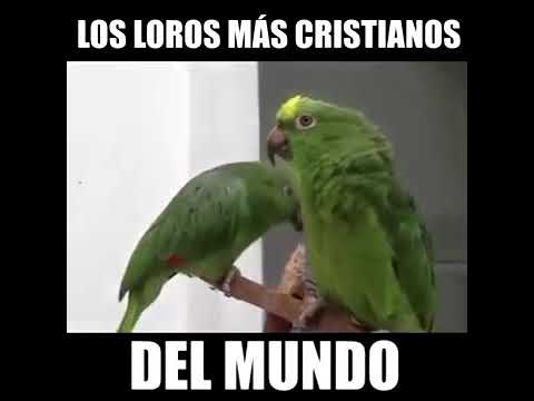 2 de septiembre de 2018