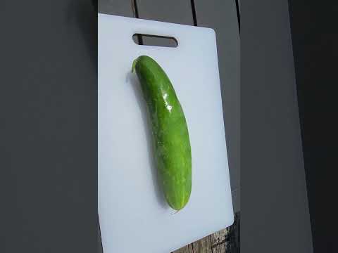 The Reason Store Bought Cucumbers are Waxed or Wrapped in Plastic #cucumber #funfacts #fun #learning