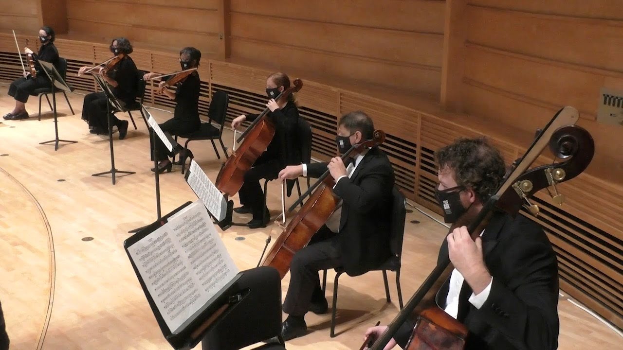 Vaughan Williams: Fantasia on a Theme by Thomas Tallis