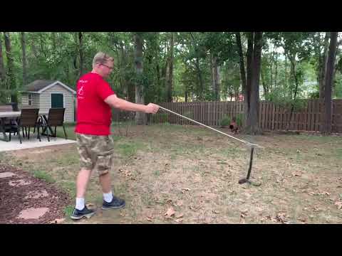Rat Snake Removal with Snake Tongs