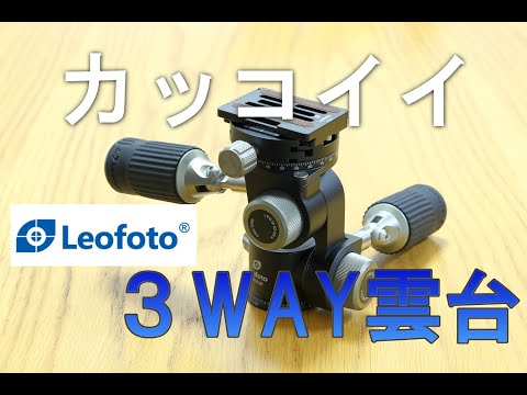 Leofoto galvutė FW-01 video