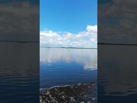 Como a natureza é linda,Lago Açu na cidade de Conceição do Lago Açu-MA