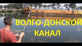 Волга дон рыболовный клуб волгоград