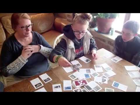 How to Play Wildlife Web