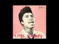 Little Richard - Good Golly Miss Molly 