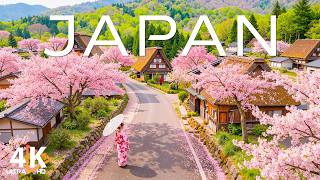 Spring in Japan 4K 🌸 Spring Adventure: Cherry Blossoms, Himeji Castle, Petal Rivers - VIDEO 4K UHD