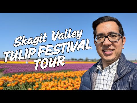 Skagit Valley Tulip Festival: A Colorful Destination Tour!