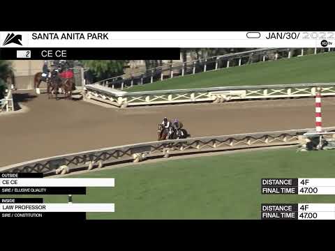 Preview of Race 6, the Grade 2 Santa Monica Stakes at Santa Anita Park on February 5th 2022.