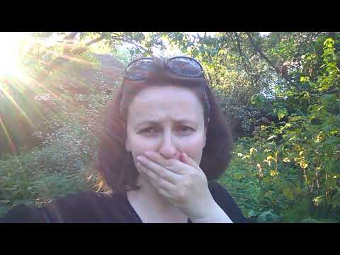 2017 лето пикник на обочине