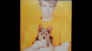 Pet Shop Boys - One hit wonder