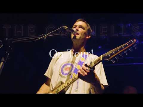 Thumbnail for The Connells On Tour 2021/2022 by The Connells, Y&T