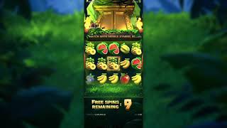 Jungle Delight — Tips & Strategi