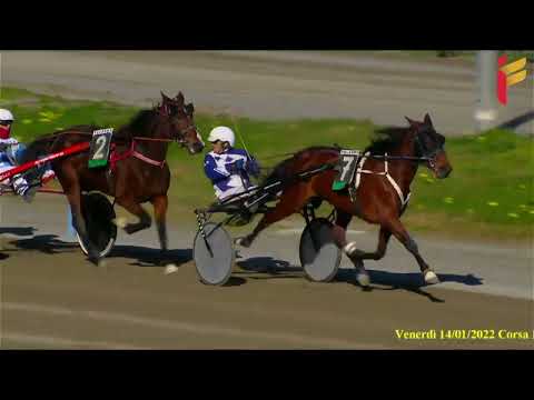 I Corsa del 14 Gennaio 2022 - 4 Anni Femmine - Metri 2000