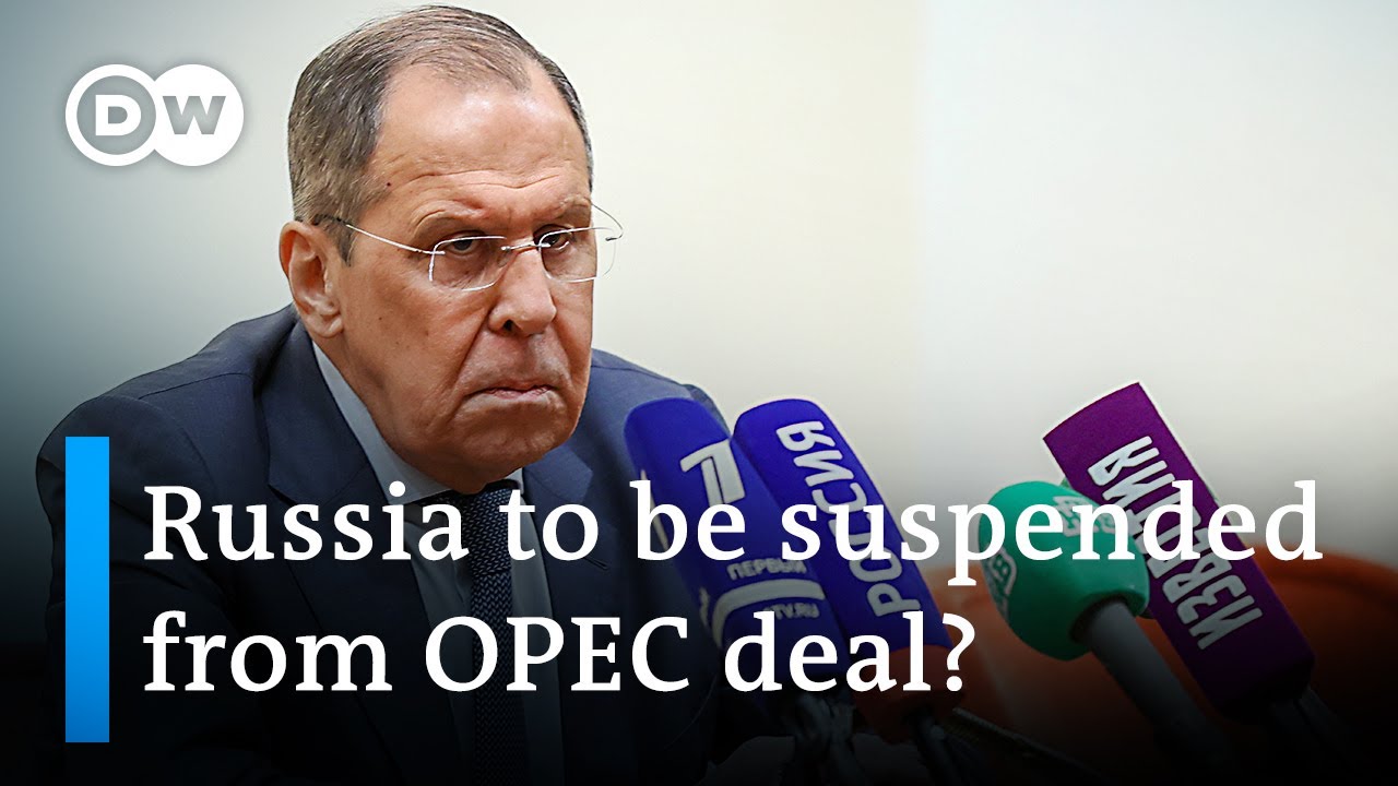 Russian oil production falls by 1 million barrels per day | DW News