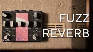 Keeley Loomer - What To Know & Where To Buy | Equipboard Keeley Loomer - What To Know & Where To Buy | Equipboard