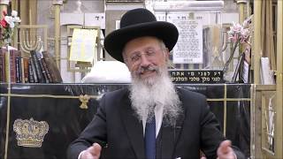 הרב אברהם יוסף שליט"א האם מותר לרוץ בשבת